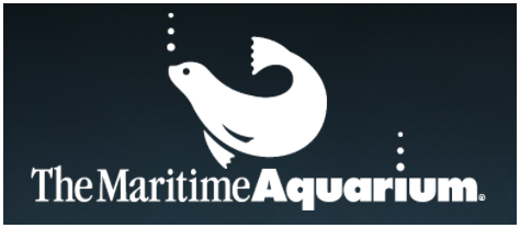 logo with a seal swimming and air bubbles