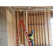 Construction worker, holding a ladder, looks up at a light